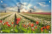 Tuinposter bloemen - Tuindecoratie tulpen - 60x40 cm - Tuinschilderij voor buiten - Tuindoek molen - Wanddecoratie tuin - Schuttingdoek - Balkon decoratie - Muurdecoratie landschap Nederland - Buitencanvas