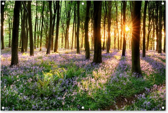 Tuinposter - Tuindoek - Tuinposters buiten - Bos - Bloemen - Lavendel - Zon - Paars - Natuur - 120x80 cm - Tuin