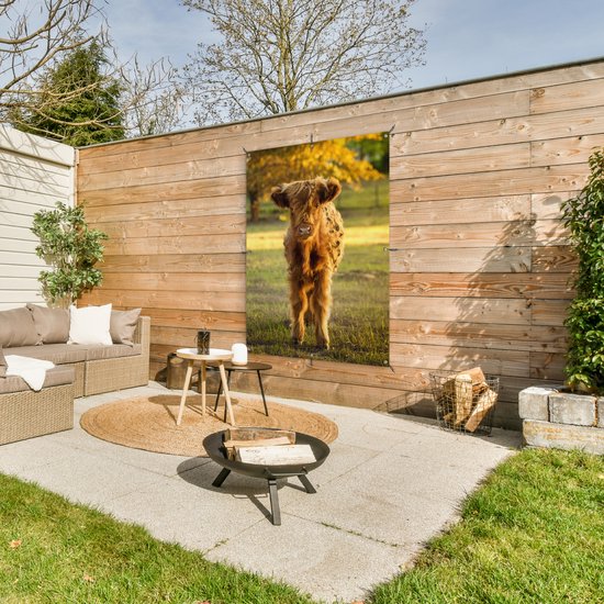 Affiche jardin - Toile Posters de jardin extérieur - Highlander écossais - Veau - Automne - 90x120 cm - Jardin