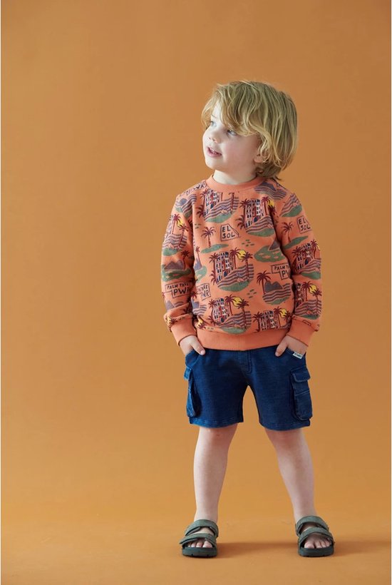 Name It Jongens Sweaters Multi Name It Jongens Sweaters Multi