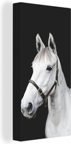 Tableau Peinture Cheval - Licol - Wit - 80x160 cm - Décoration murale