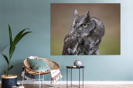 Gros plan d'un petit hibou sur toile 160x120 cm - Tirage photo sur toile (Décoration murale salon / chambre) XXL / Groot format!