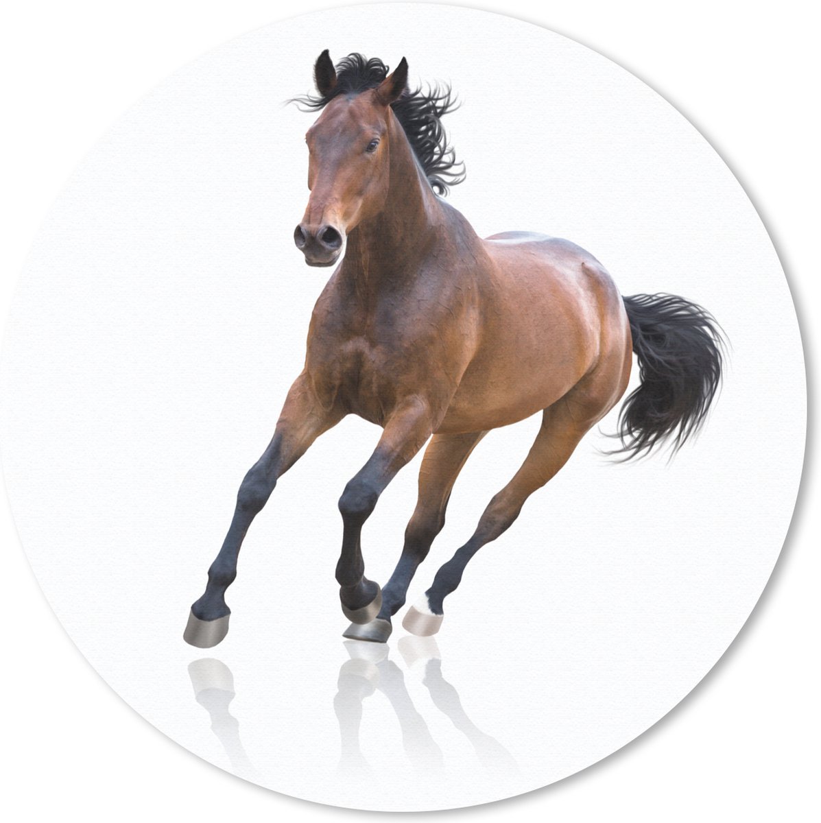 Muismat rond 50x50 cm - Mousepad Paard - Bruin - Wit - Ronde muismatten