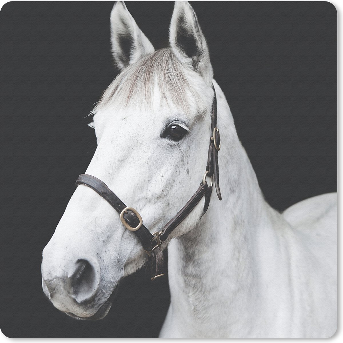 Muismat 30x30 cm - Mousepad Paard - Halster - Wit - Muismatten