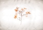 Fotobehang - Vlies Behang - Bloemenkunst - 254 x 184 cm