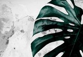 Papier peint photo - Papier peint intissé - Monstera sur béton - Feuille de jungle verte - 416 x 290 cm
