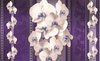Fotobehang - Vlies Behang - Kunst met Bloemen - Paars - 416 x 254 cm