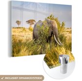 MuchoWow® Peinture sur verre 90x60 cm - Peinture sur verre acrylique - Éléphant - Animaux - Herbe - Vert - Berg - Photo sur verre - Peintures