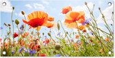 Tuinposter Bloemen - Klaproos - Lente - Natuur - Rood - Blauw - 60x30 cm - Tuindoek - Buitenposter