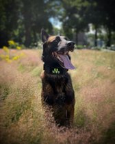 Halsband Gepersonaliseerd eigen naam - Bink - Honden halsband Geborduurd - Tactical - Zwart - Hals 45-75 CM - geschikt voor iedere hondenriem - voor middel en grote honden - Best getest 2022 - 450KG Anti trek test - One Size