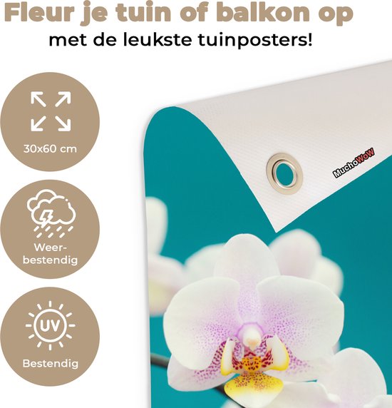 Poster de jardin Orchidée - Fleurs - Plante - Wit - Violet - 30x60 cm - Toile jardin - Poster extérieur