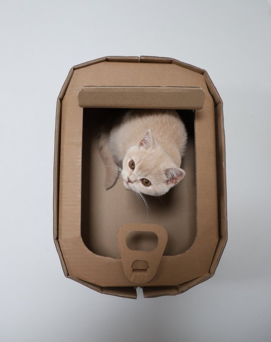 Panier chat en carton comme boîte à sardines - Carton durable - Hobby  Cardboard - KarTent | bol