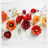 Muursticker - Rij van Planten en Bloemen in Verschillende Kleuren en Soorten op Wit Oppervlak - 50x50 cm Foto op Muursticker