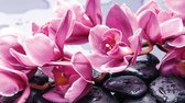 Flowers Orchids Stones Zen Photo Wallcovering