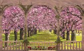 Flowers Through The Arch Photo Wallcovering