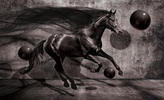 Fries Paard Behang Kopen? | Mooi Assortiment op - .nl