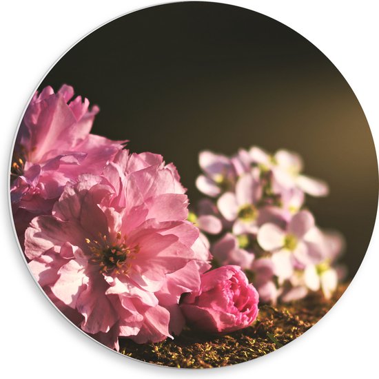 PVC Schuimplaat Muurcirkel - Bloemen - Gras - Natuur - Roze - 50x50 cm Foto op Muurcirkel (met ophangsysteem)