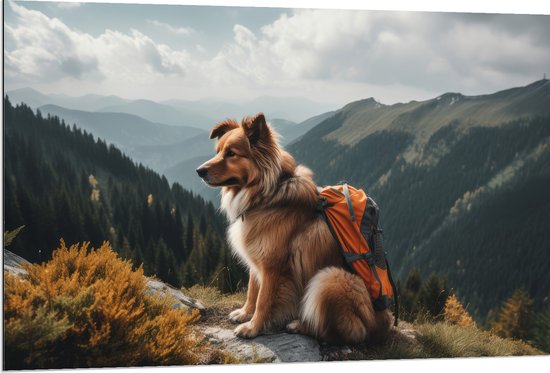 Dibond - Reizende Hond met Rugzak op Top van de Berg - 120x80 cm Foto op Aluminium (Met Ophangsysteem)