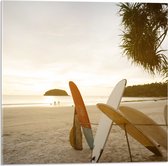 Acrylglas - Rij Surfplanken op het Strand tijdens Avondzon - 50x50 cm Foto op Acrylglas (Met Ophangsysteem)