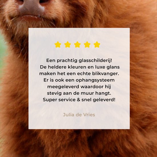 MuchoWow® Peinture sur verre 80x160 cm - Peinture sur verre acrylique - Highlander écossais - Veau - Herbe - Photo sur verre - Peintures