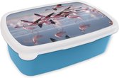 Broodtrommel Blauw - Lunchbox - Brooddoos - Flamingo - Vogel - Water - Roze - 18x12x6 cm - Kinderen - Jongen