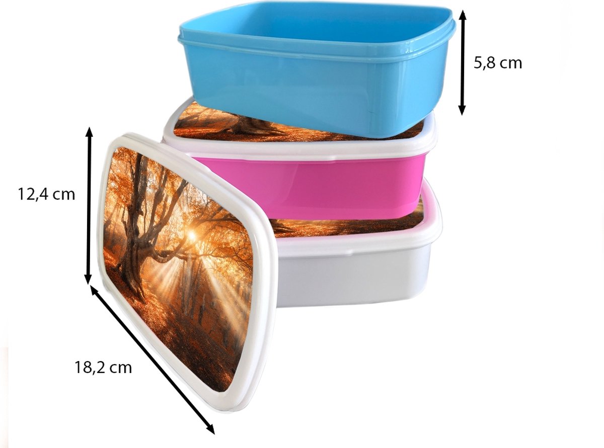 Broodtrommel Roze - Lunchbox - Brooddoos - Boom - Natuur - Herfst - 18x12x6 cm - Kinderen - Meisje
