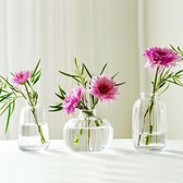 Set van 3 kleine helderglazen bloemenvazen, minivazen ​​glazen flessen, modern interieur, vazen ​​decor voor middentafel, bruiloft, slaapkamer, doop, verjaardag, Moederdagcadeau