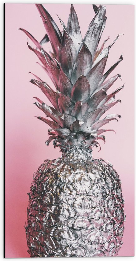 Dibond - Zilveren Ananas met Roze Achtergrond - 50x100 cm Foto op Aluminium (Met Ophangsysteem)