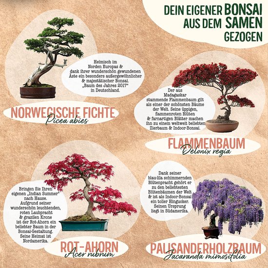 Valeaf Bonsaistarterset Deluxe Bonsaikweekset met 4 soorten