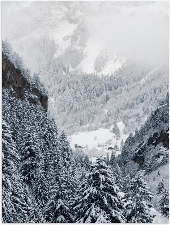 Poster Glanzend – Bergen - Bomen - Sneeuw - Bossen - 60x80 cm Foto op Posterpapier met Glanzende Afwerking