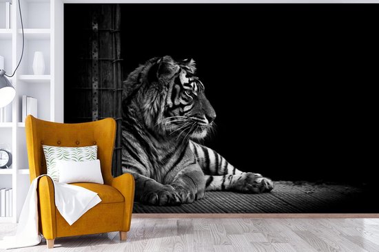 Papier peint - Papier peint photo Tigre - Zwart - Wit - Séance photo - Largeur 360 cm x hauteur 240 cm