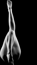 Long legs 180 x 120  - Plexiglas