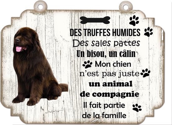 Tableau Déco - Bavière Montagne Chien