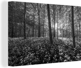 Tableau sur toile Les rayons du soleil brillent le long des hêtres - noir et blanc - 120x80 cm - Décoration murale
