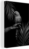 Toile Peinture Oiseau tropical fond noir - noir et blanc - 80x120 cm - Décoration murale