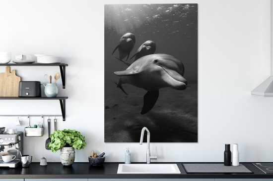 Tableau sur toile Photo sous-marine de trois dauphins - noir et blanc - 80x120 cm - Décoration murale