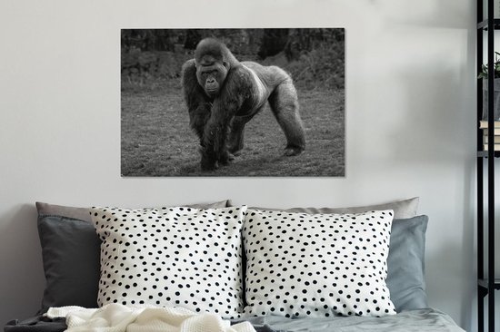 Tableau sur toile Un Gorilla marche sur ses mains et ses jambes - noir et blanc - 60x40 cm - Décoration murale