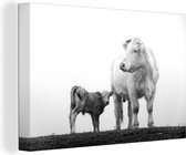 Tableau sur toile Vache avec son veau dans le brouillard - noir et blanc - 30x20 cm - Décoration murale