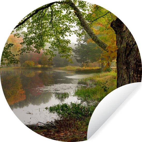 WallCircle - Muurstickers - Behangcirkel - Connecticut - Boom - Amerika - 100x100 cm - Muurcirkel - Zelfklevend - Ronde Behangsticker XXL