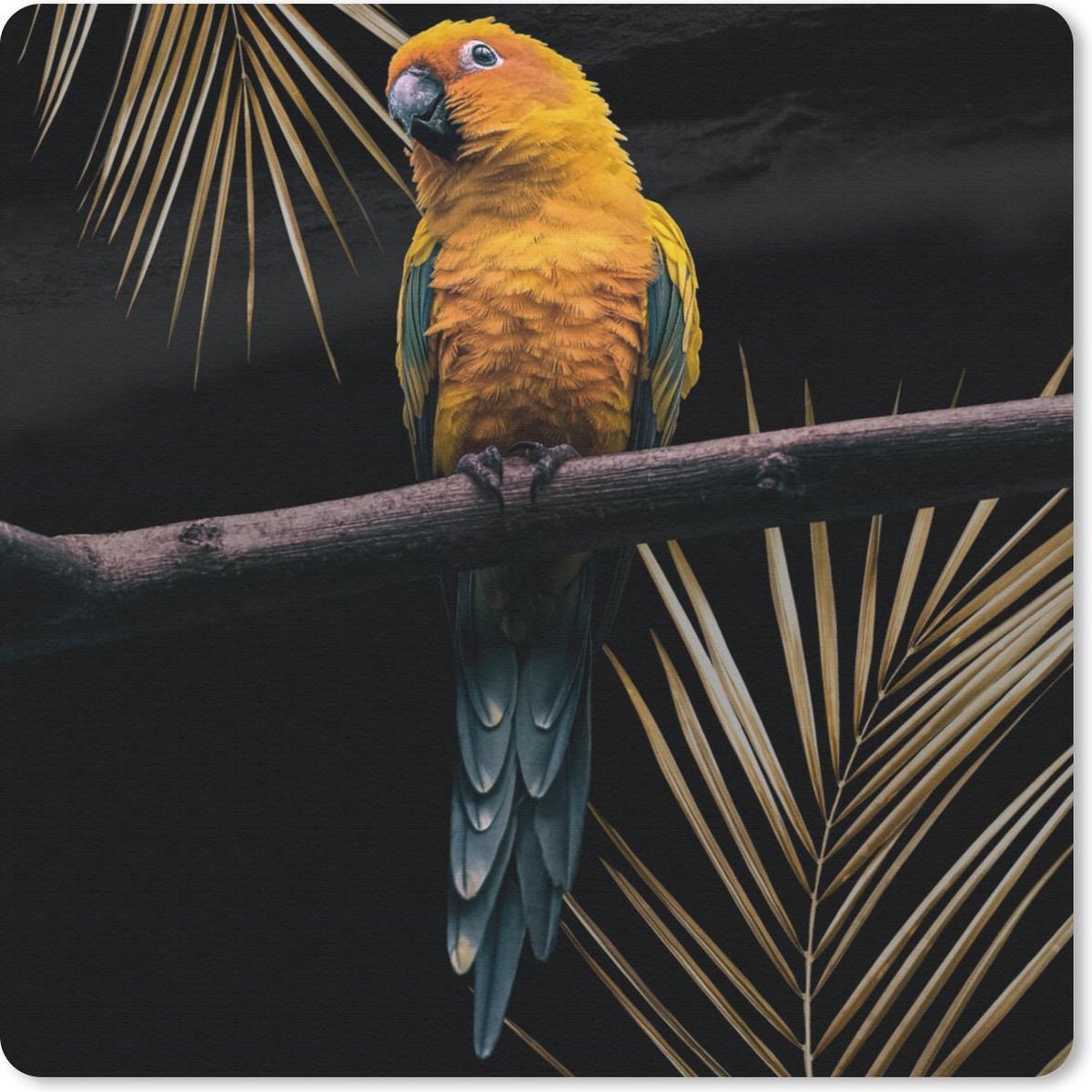 Muismat 20x20 cm - Mousepad Vogel - Papegaai - Tak - Varen - Muismatten
