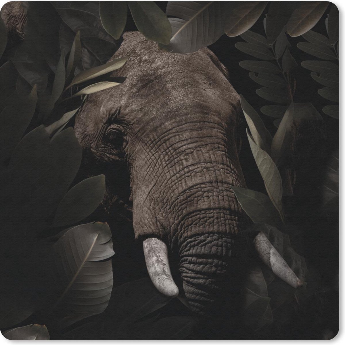 Muismat 20x20 cm - Mousepad Olifant - Dieren - Bladeren - Botanisch - Muismatten