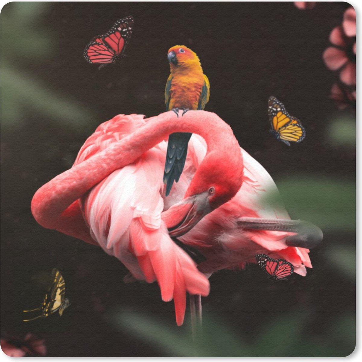 Muismat 30x30 cm - Mousepad Flamingo - Dieren - Natuur - Muismatten