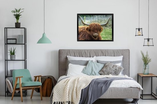 Fotolijst incl. Poster - Schotse Hooglander - Koeienkop - Hoorns - 50x40 cm - Posterlijst