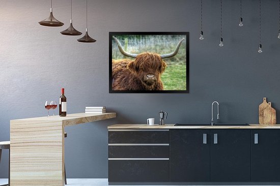 Fotolijst incl. Poster - Schotse Hooglander - Koeienkop - Hoorns - 50x40 cm - Posterlijst