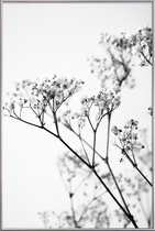 JUNIQE - Poster met kunststof lijst Deni's Baby Breath -20x30 /Grijs &