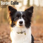Border Collies 2022 - 18-Monatskalender mit freier DogDays-A