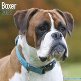 Boxers Kalenders 2022