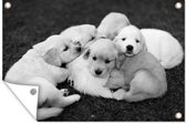 Muurdecoratie Puppy's in het gras - zwart wit - 180x120 cm - Tuinposter - Tuindoek - Buitenposter
