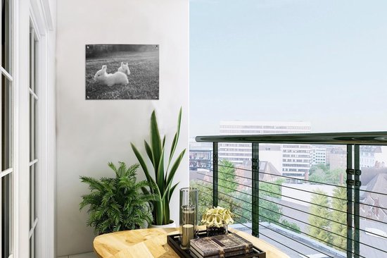 Décoration de Jardin Deux bébés lapins jouant dans l'herbe - noir et blanc - 40x30 cm