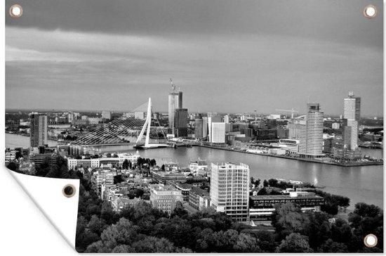 Muurdecoratie Rotterdam en de Erasmusbrug vanuit vogelvluchtperspectief - zwart wit - 180x120 cm - Tuinposter - Tuindoek - Buitenposter